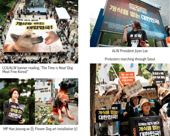 Boknal protest 2023