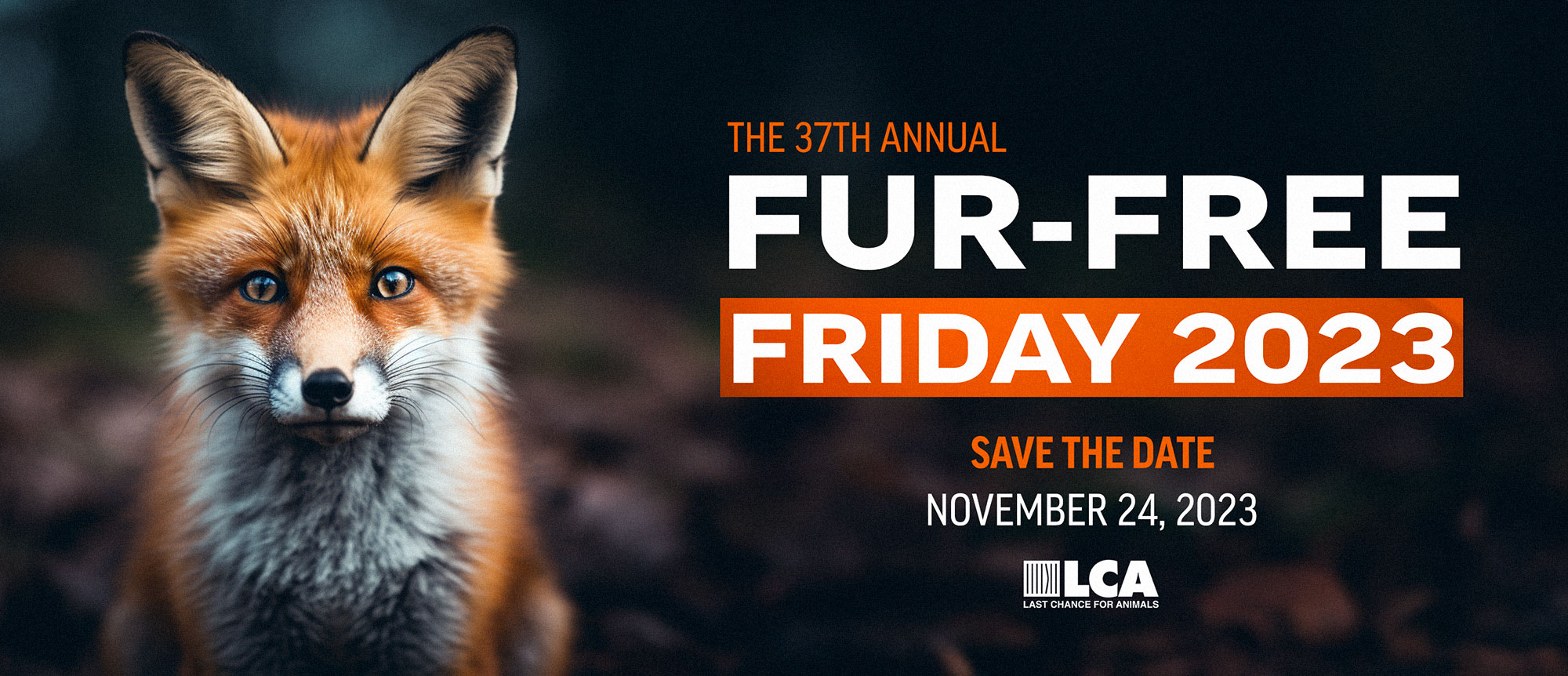 Fur Free Friday 2023