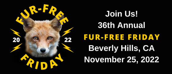 Fur Free Friday Nov 25 2022