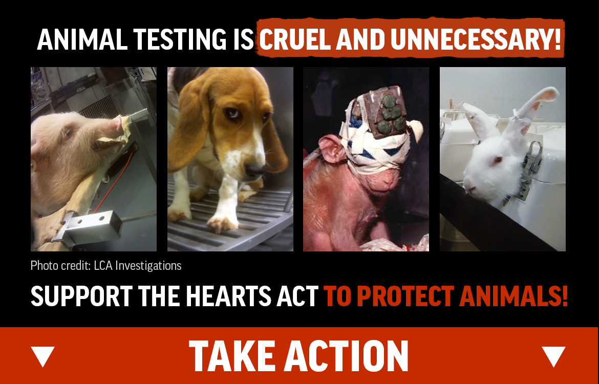 Support the HEARTS Act