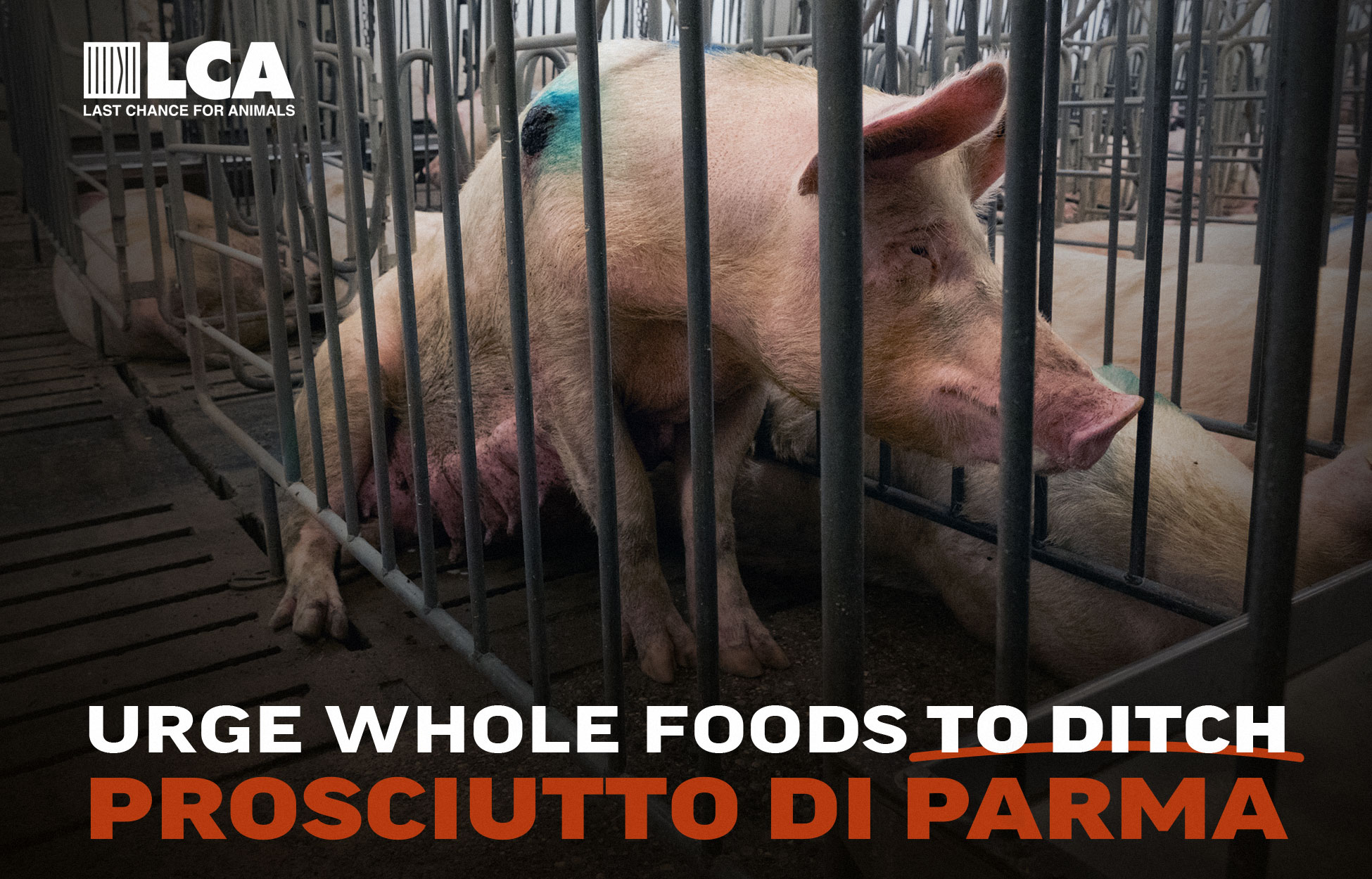 Urge Whole Foods to ditch Prosciutto di parma