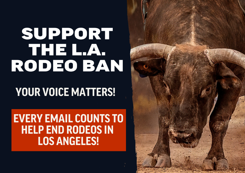 SUPPORT THE LA RODEO BAN