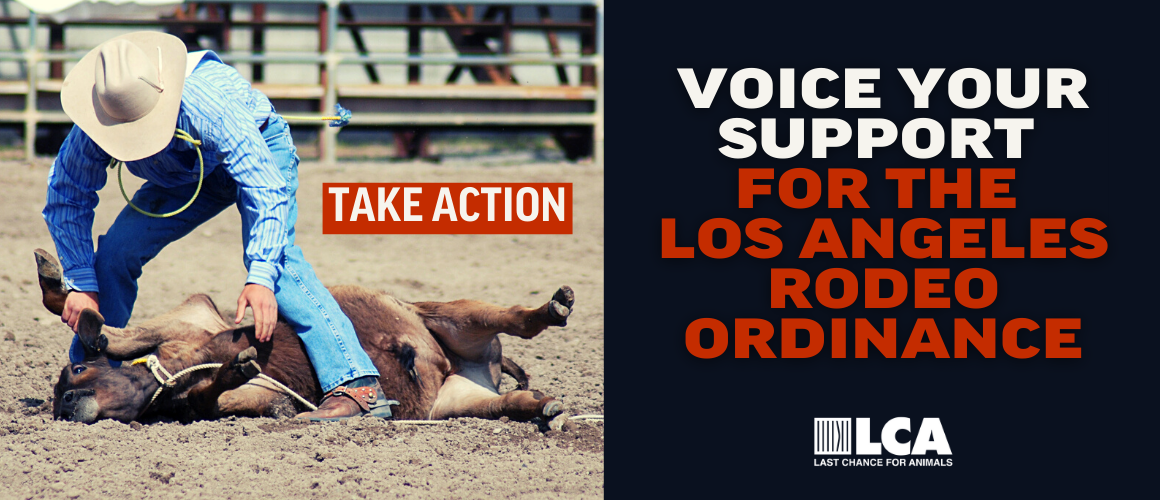 Support the LA Rodeo Ordinance