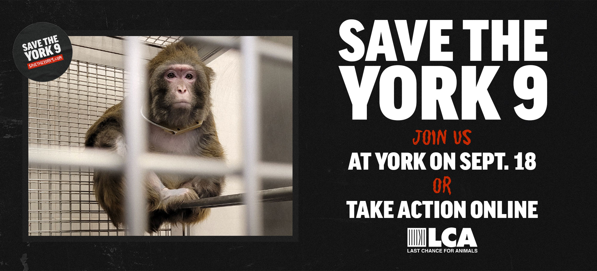 Save the York 9