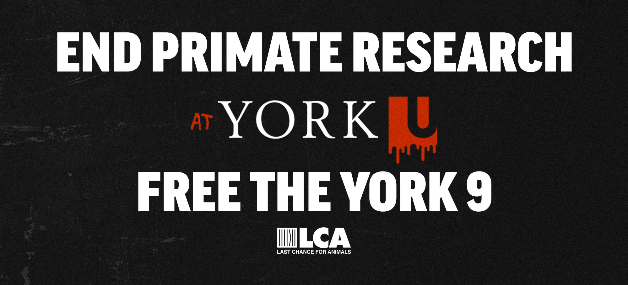 Free the york 9