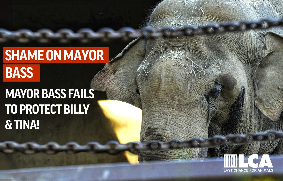 Shame on Mayor Karen Bass