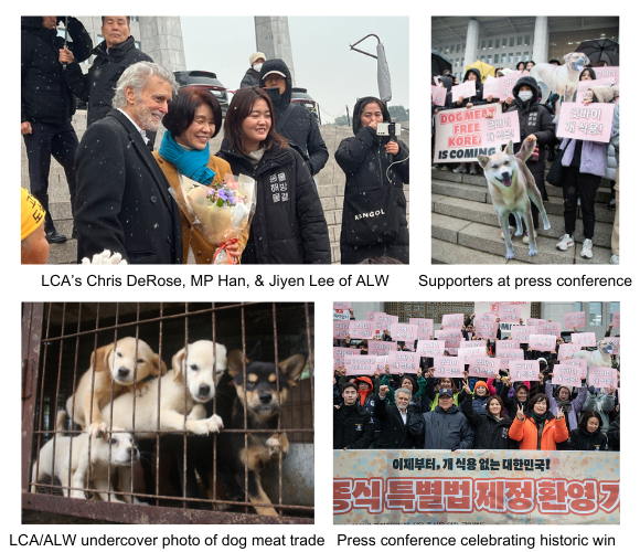 south korea press conference