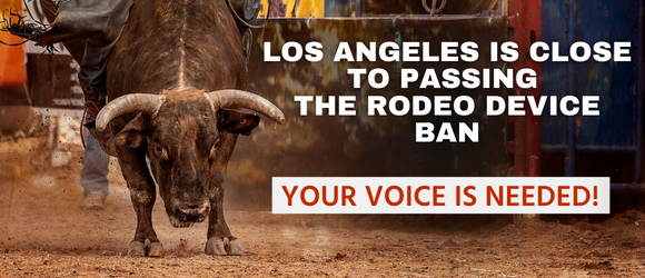 Your Voice is Needed! Help pass the Rodeo Device Ban.