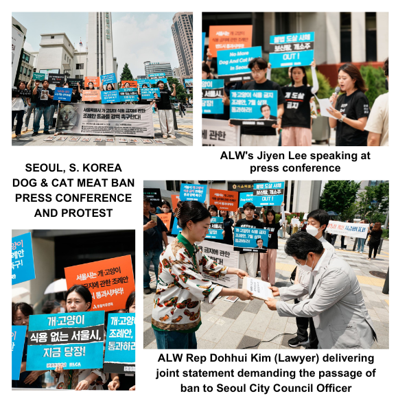 Seoul Dog Meat Press Conference