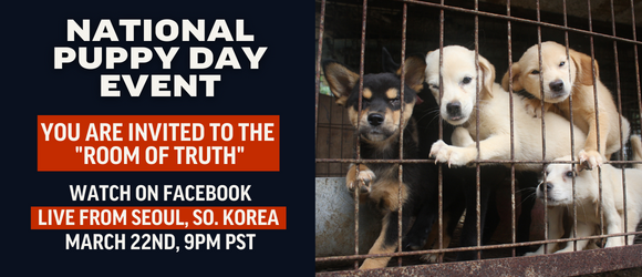 National Puppy Day Room of Truth Live from S. Korea