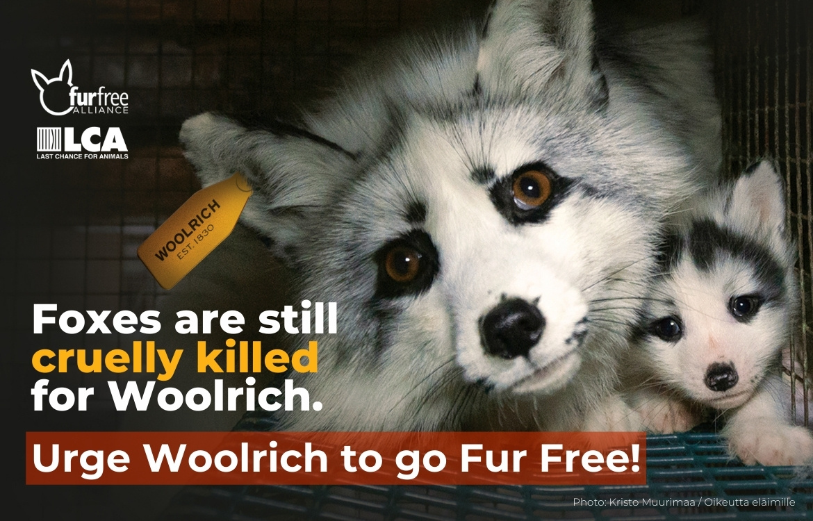 Urge Woolrich to go Fur Free