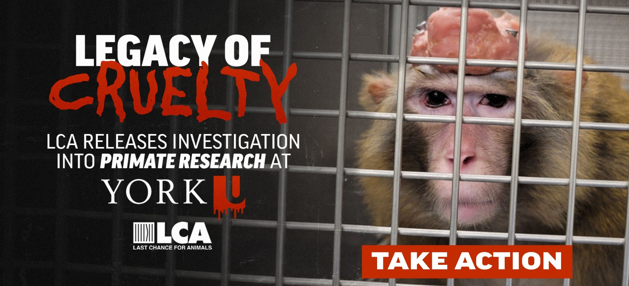 Stop York Primate Research