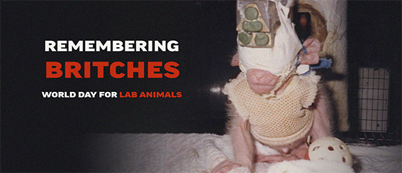 World Day for Laboratory Animals