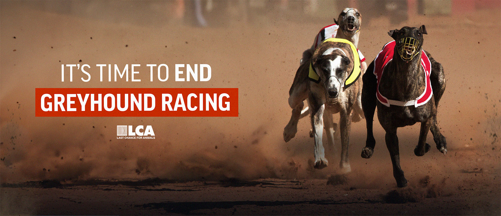 End Greyhound Racing