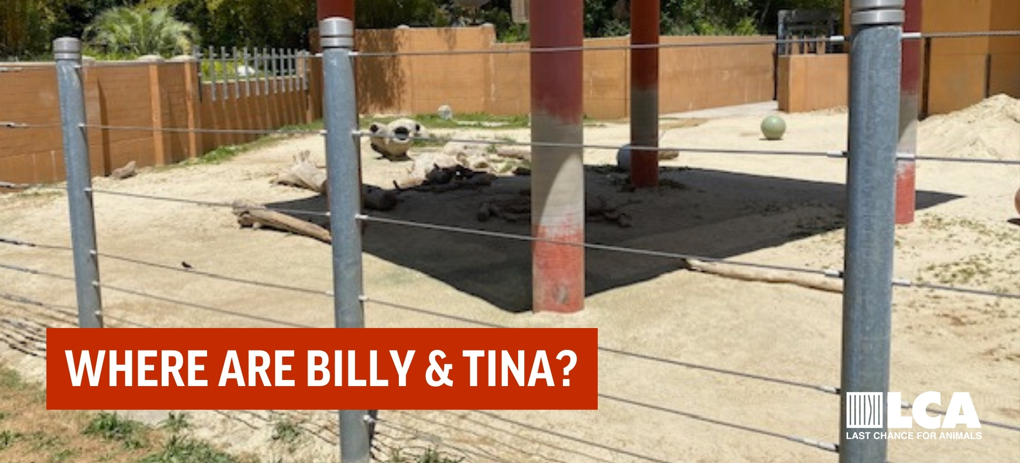 Where are billy and tina