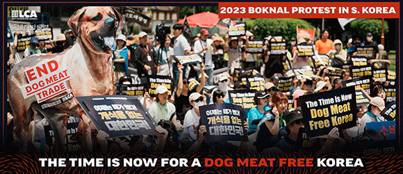 Boknal 2023 protest