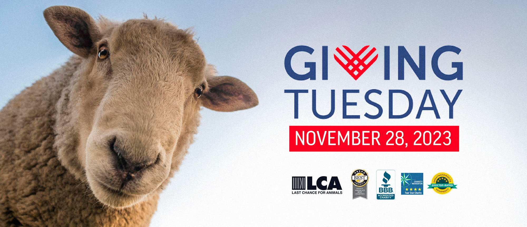 Giving Tuesday