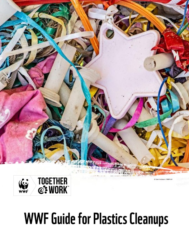 Plastics Cleanup Guide