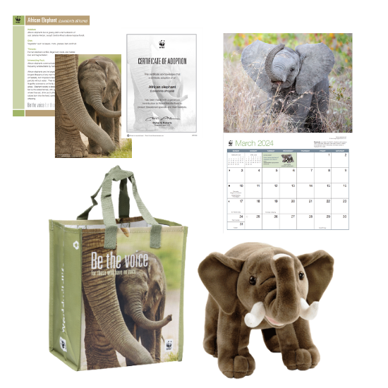 Adopt an African Elephant  Plush & Certificate Gift Kits
