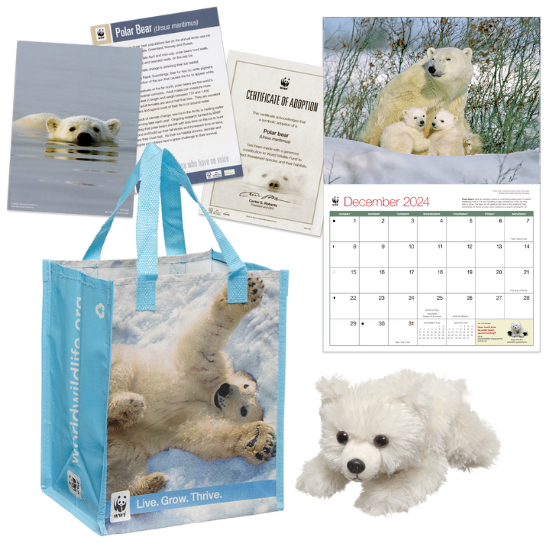 Polar bear adoption kit with 2024 calendar, plush, tote bag, certificate and fact sheet