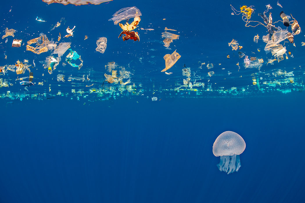 Trash and a jellyfish floating in clear blue waters.