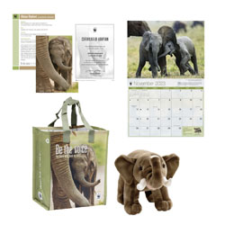 Elephant adoption kit