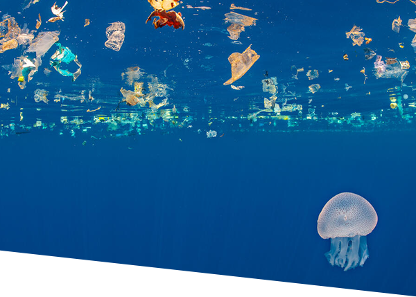 Jelly fish and plastic debris