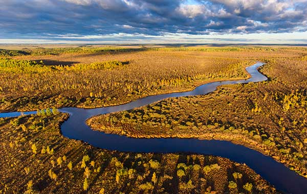 Bog surrounding river in morning light