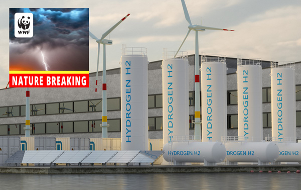 Hydrogen infrastructue and Nature Breaking podcast logo