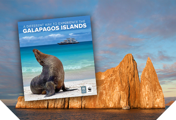 A NatHab brochure on top of an image of a boat at Kicker Rock - the brochure reads 