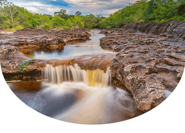 Trees and natural pools in Colombia's Charco Largo River 