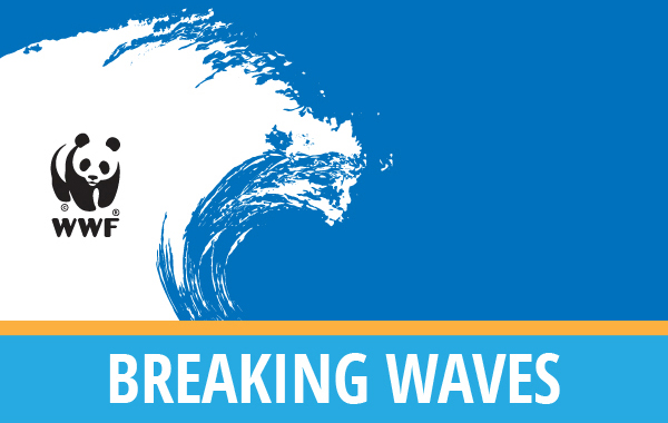 Breaking Waves logo illustration with a WWF logo in the wave