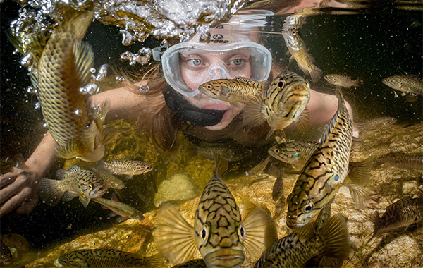 Close-up of diver with fish swimming around her face.