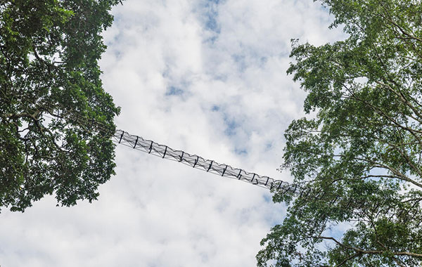 object connecting trees with cloudy sky in the background