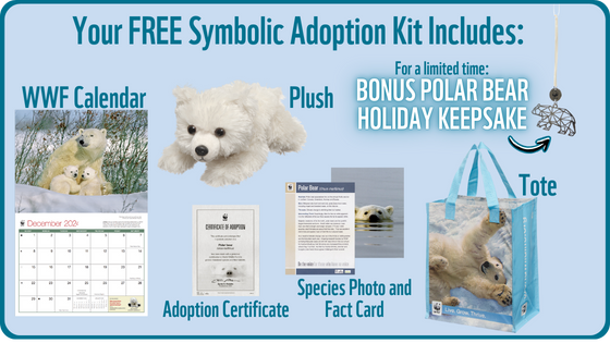 polar bear symbolic adoption kit with bonus keepsake