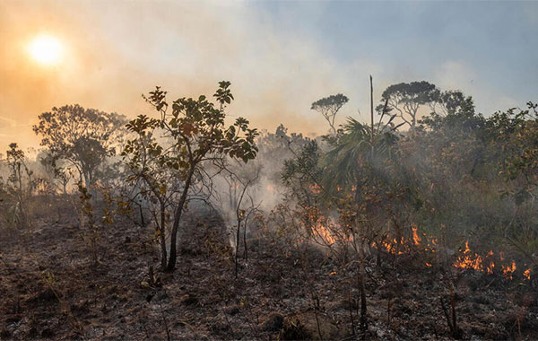 Wildfire flames waning in a burnt forest landscape