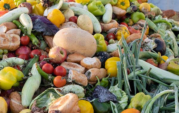 Pile of fruits, vegetables, and bread