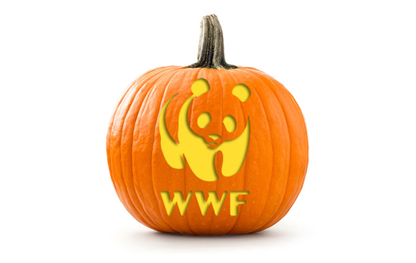 Pumpkin stencil of WWF's logo