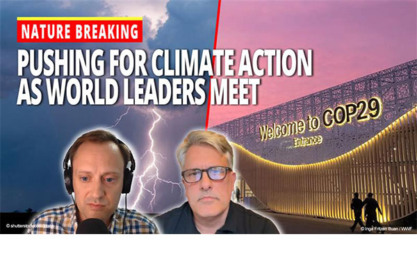 Seth Larson and Tim Juliani in front of a COP29 sign and text overlay that says 