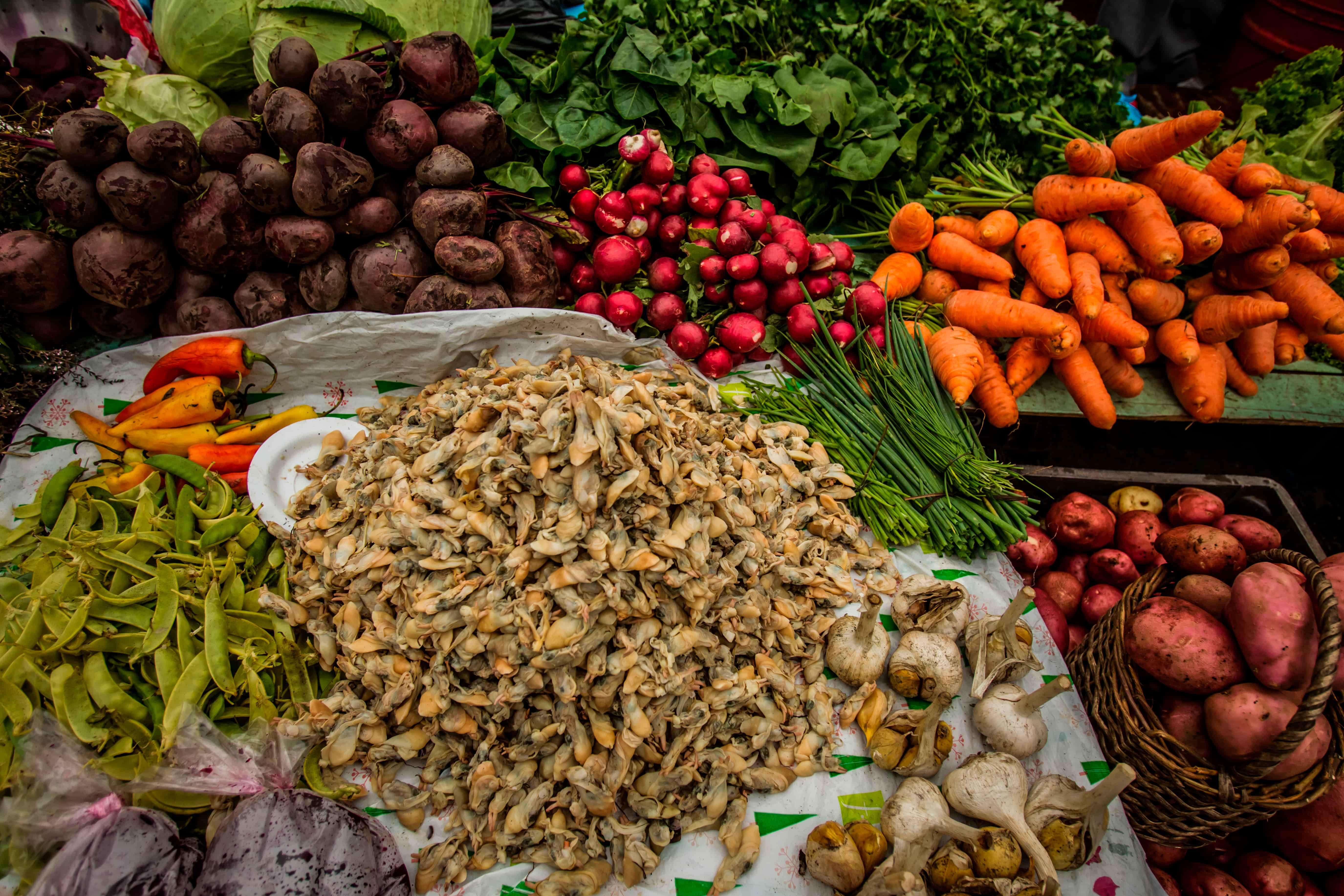 Fresh seafood and colorful produce for sale 