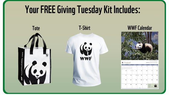 wwf logo t-shirt thank you kit