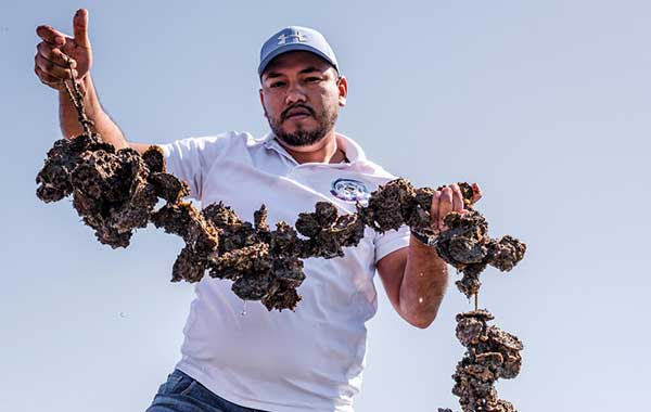 Man holding oysters at a fishing and oyster farming cooperative in Mexico