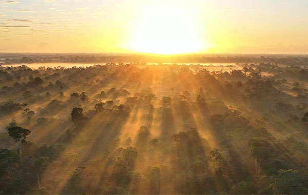 Sunrise over a foggy forest landscape