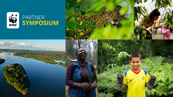 Collage of images including a jaguar, river landscape, and people in forests
