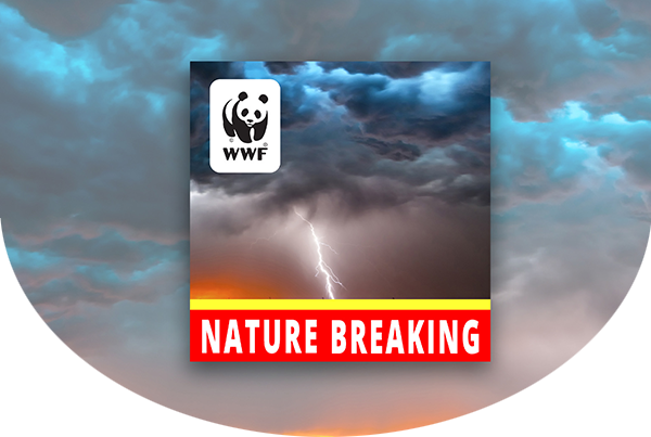 Nature Breaking podcast logo