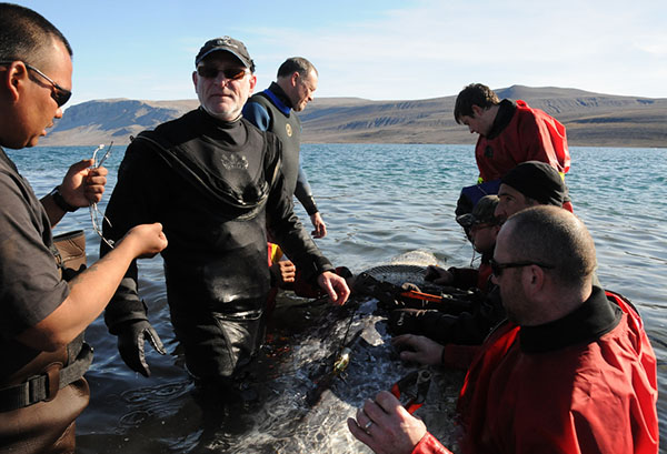 A group of fishers carry a narwhal to be tagged