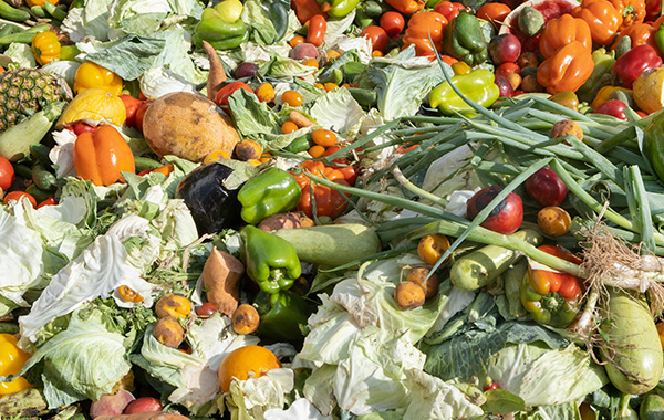 Assorted vegetables piled together