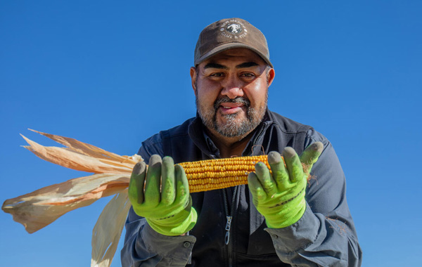 Rio Grande community member, Michael Chavez, holds up the last piece of corn to the camera. He is wearing bright green gloves and has a smile on his face. 