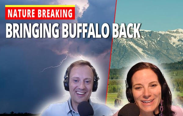 A thumbnail of Seth Larson and Heather Dawn Thompson of WWF in front of a photo of mountains and bisons with a title that says 