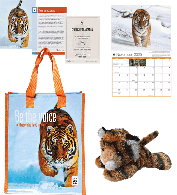 tiger adoption kit